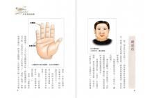 把榕樹頭掌相帶進課程