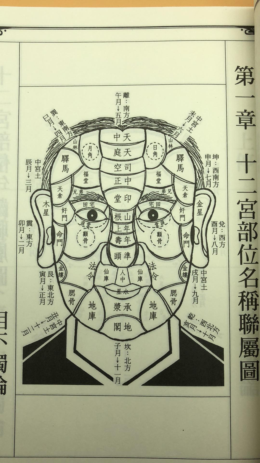 人體工學系列一-相理觀商機
