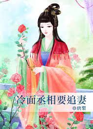 冷面丞相要追妻