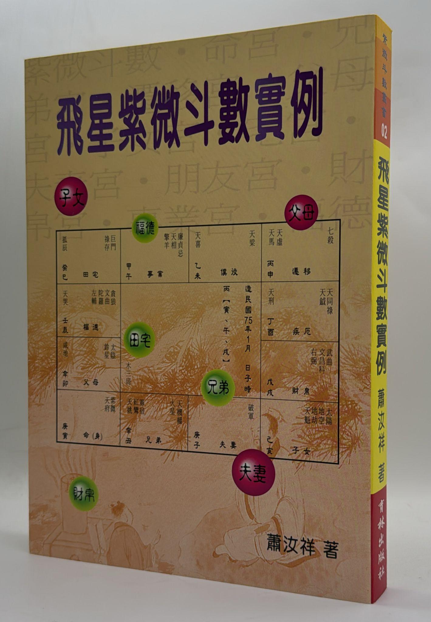 飛星紫微斗數實例