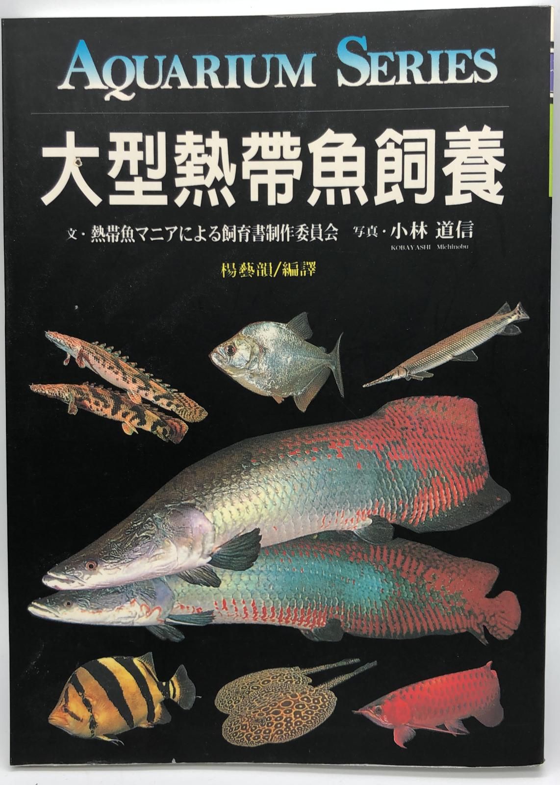 (趣味-80)大型熱帶魚飼養