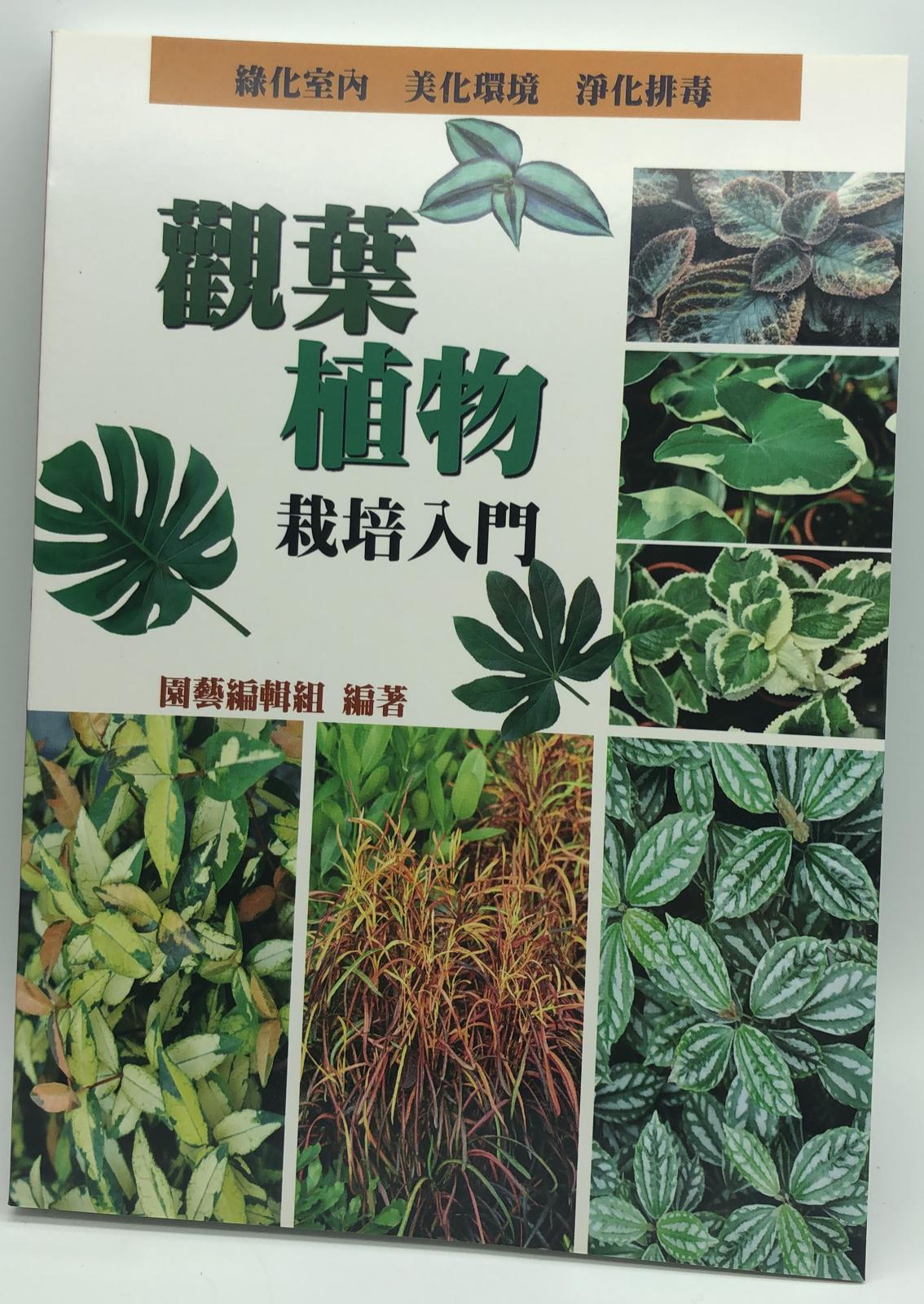 觀葉植物栽培入門(彩色園藝圖鑑-01)