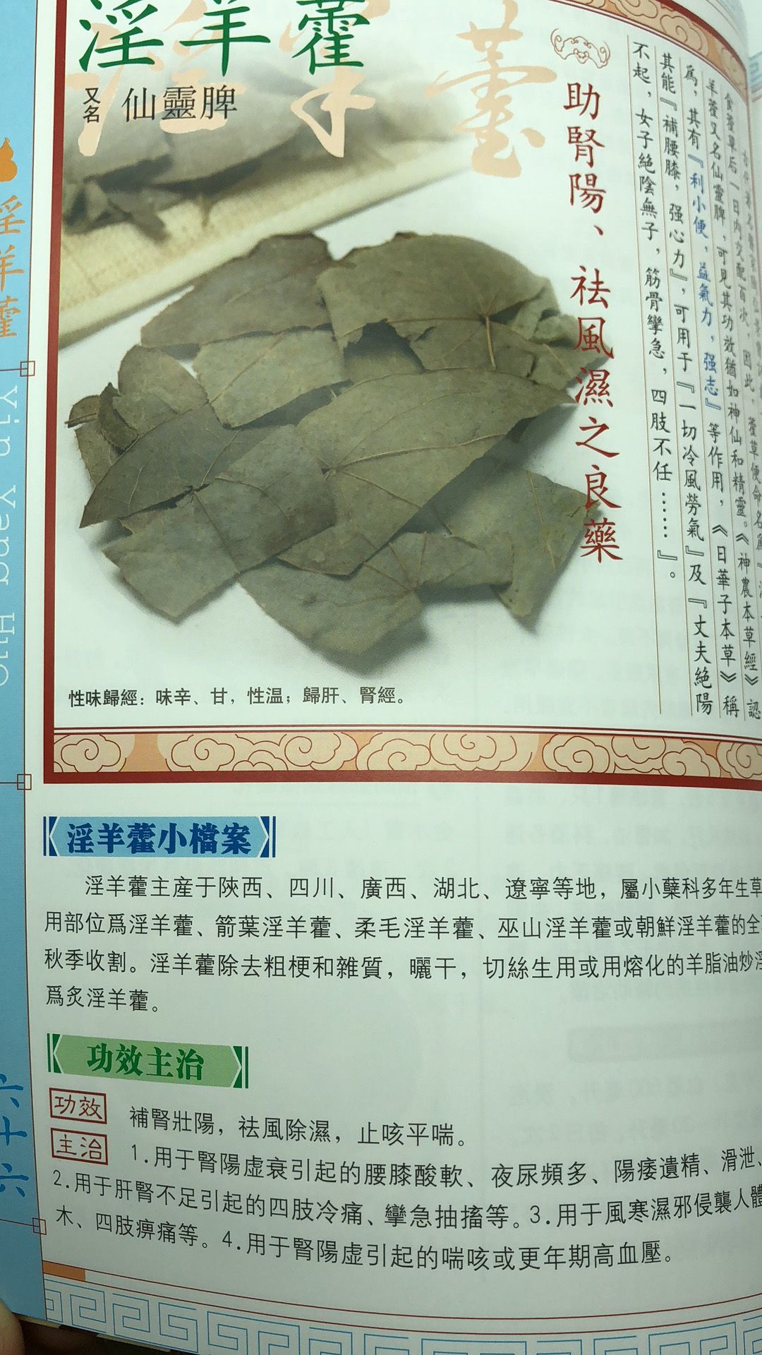 中藥養生保健大事典